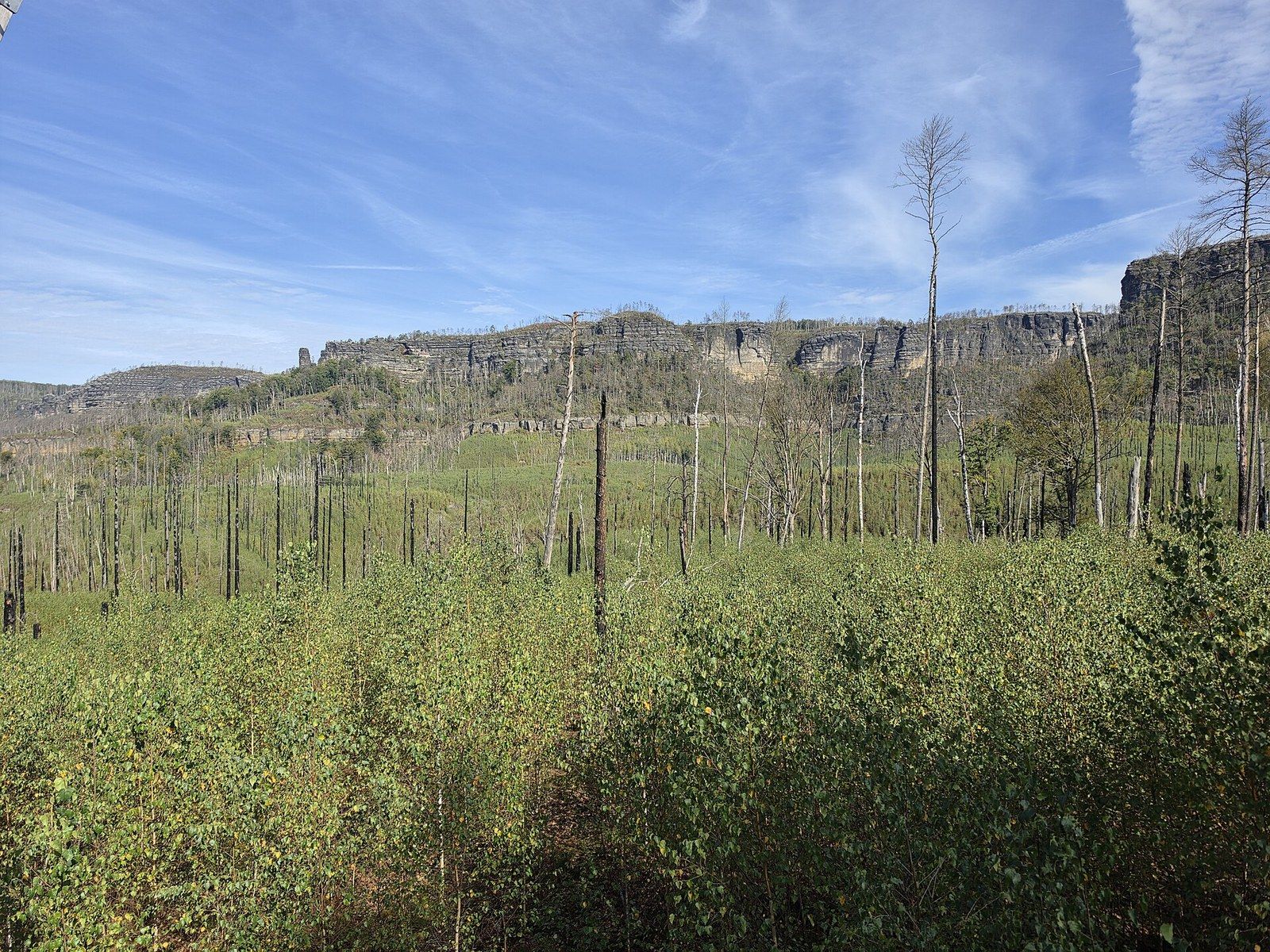 Bohemian Switzerland After the 2022 Fire: What Changed, What's Open and ...