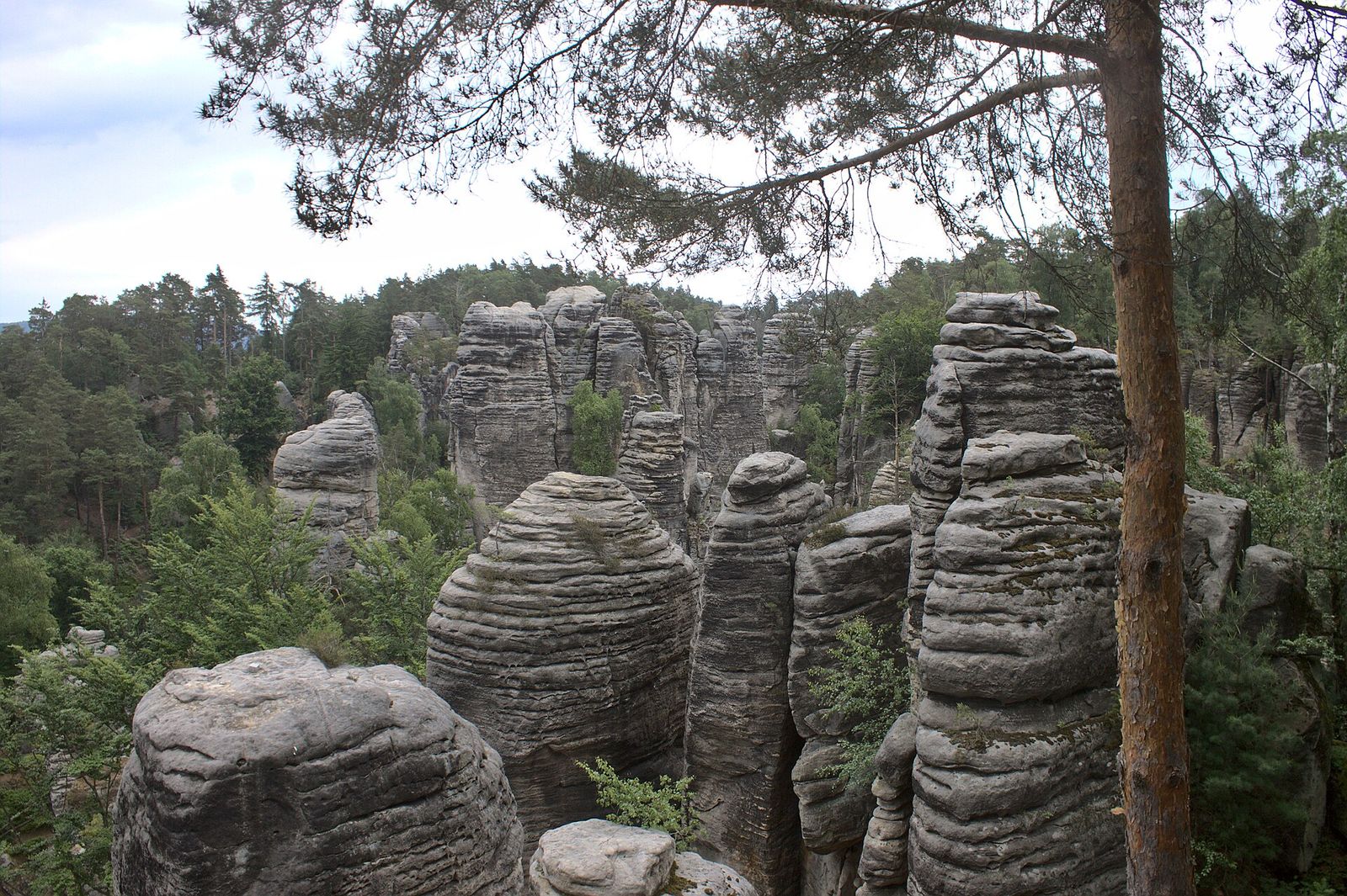 Tall layered sandstone towers of Prachov Rocks seen from the Pechova viewpoint